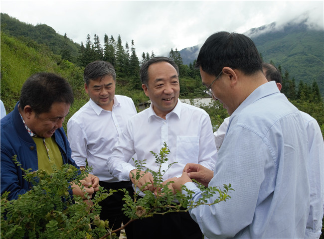 傅信平：走出一条有别于东部不同于西部的检察发展新路